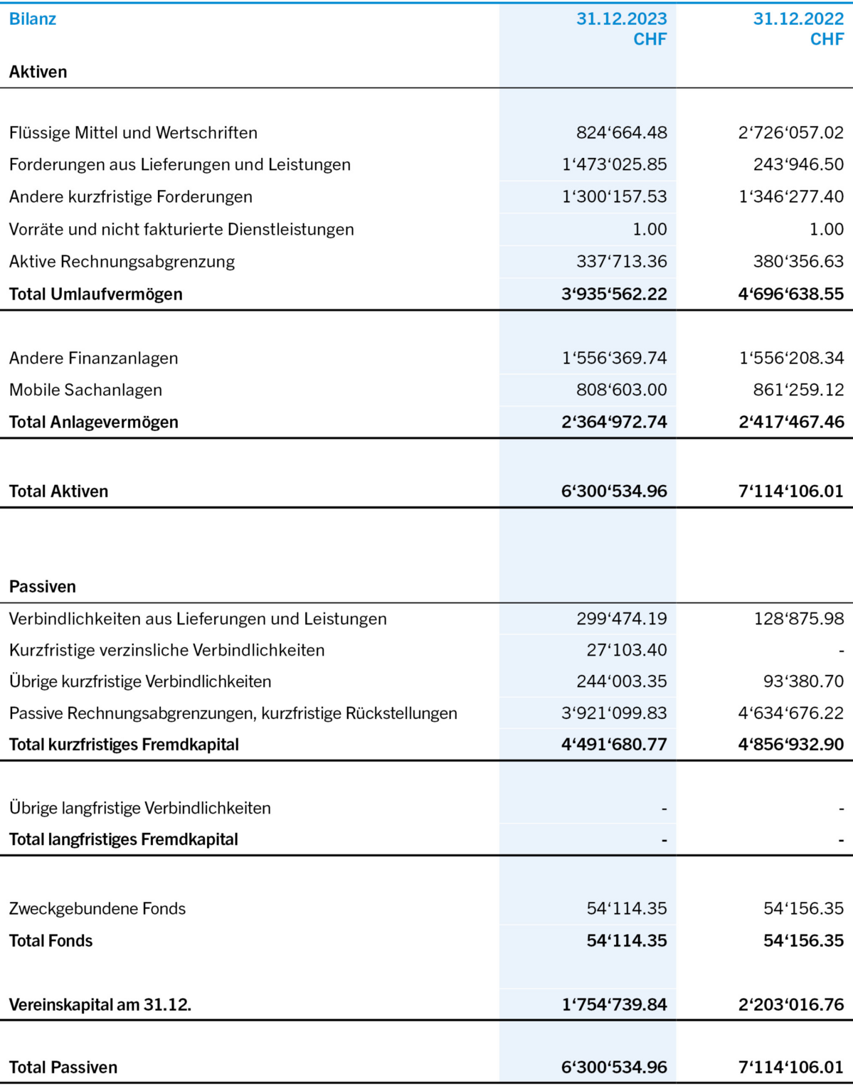 Bilanz Jahresrechnung 2023
